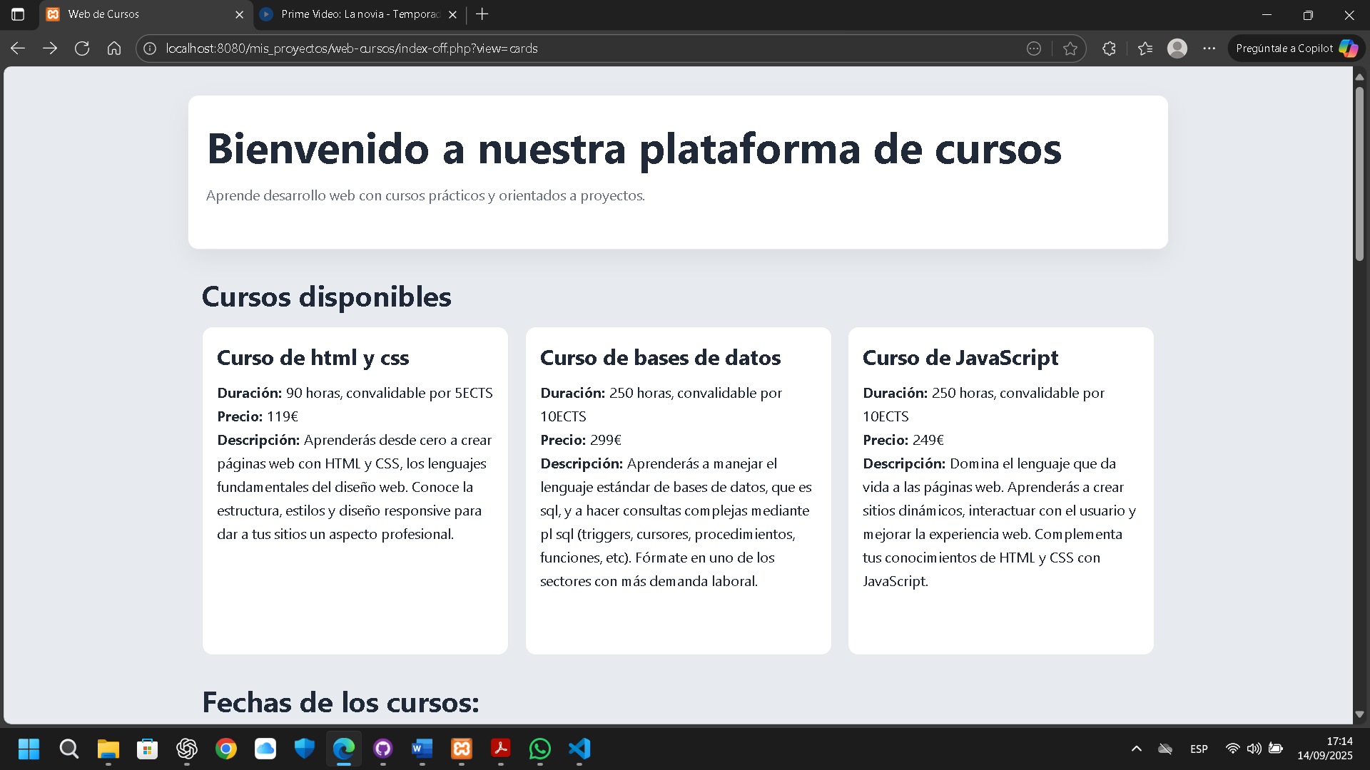 Imagen de la plataforma de cursos online